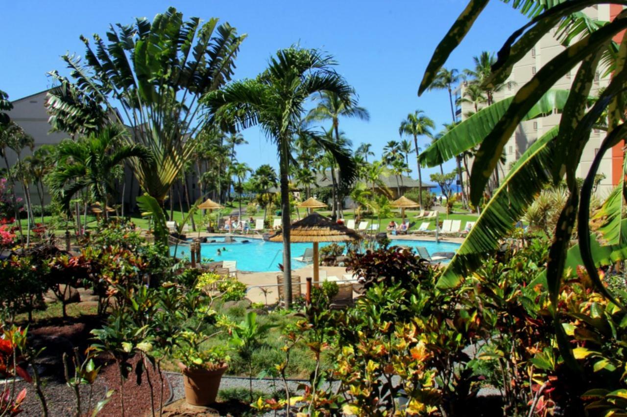 Kaanapali Shores 647 Villa Esterno foto